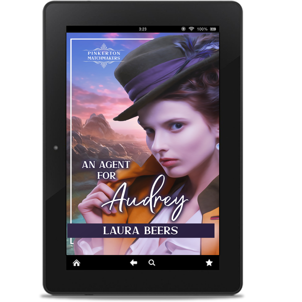 An Agent for Audrey (eBook)