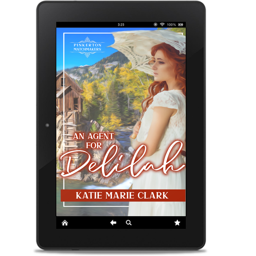 An Agent for Delilah (eBook)