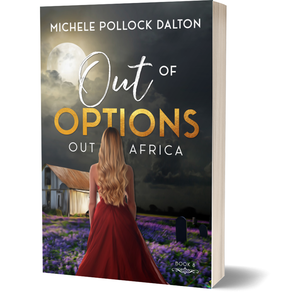 Out of Options (Paperback)