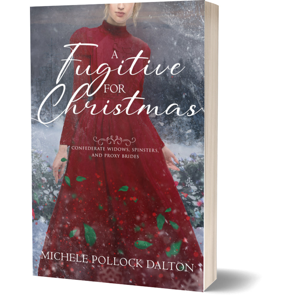 A Fugitive for Christmas (Paperback)