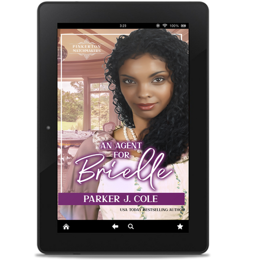 An Agent for Brielle (eBook)