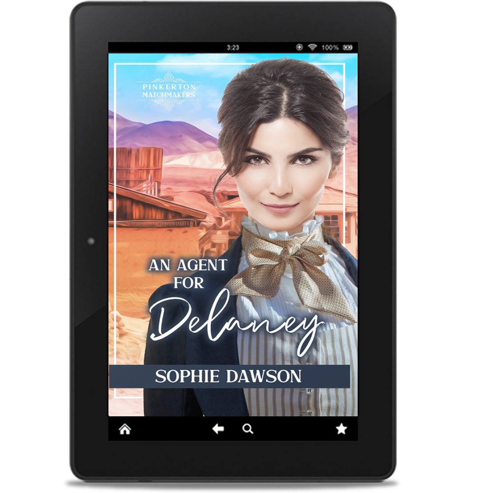 An Agent for Delaney (eBook)