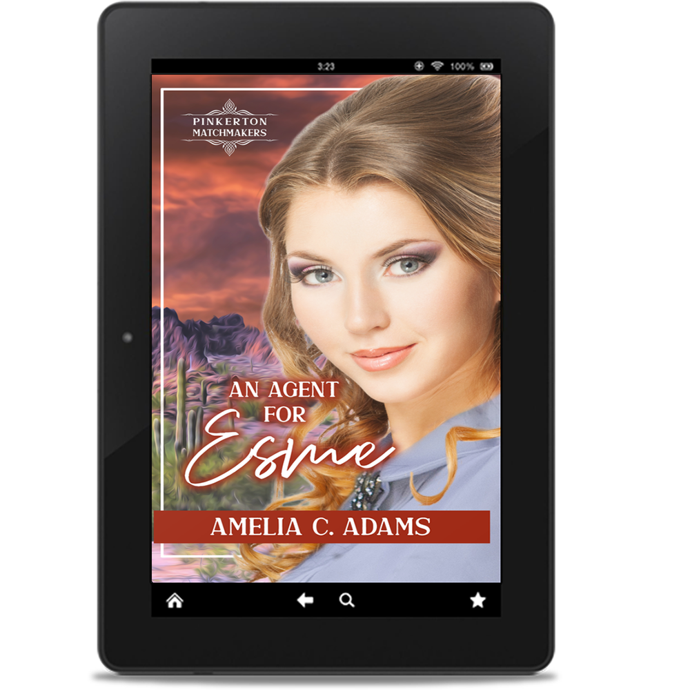 An Agent for Esme (eBook)