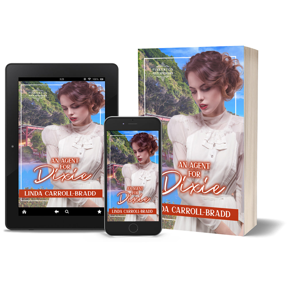 An Agent for Dixie (eBook)