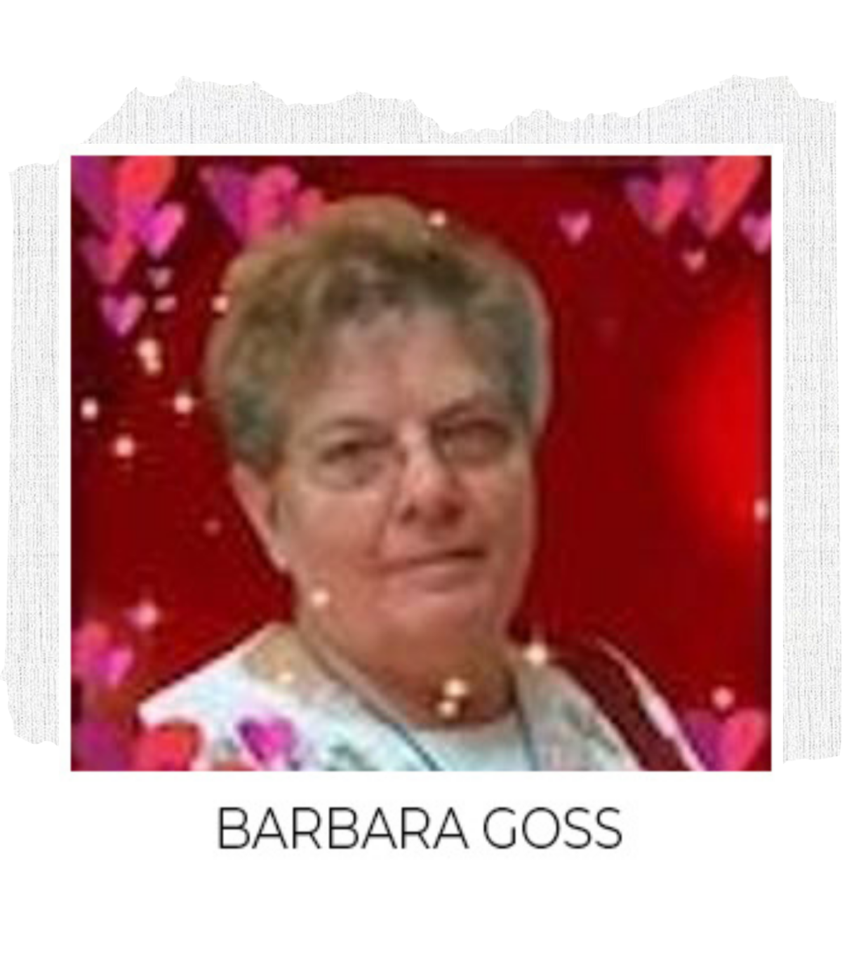 Goss Files Barbara Goss – Barr26 Publishing