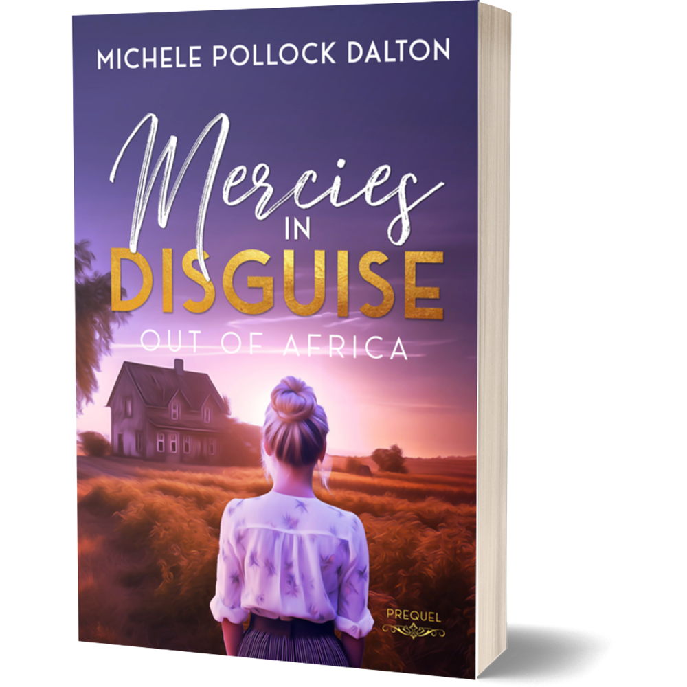 Mercies in Disguise (Paperback)