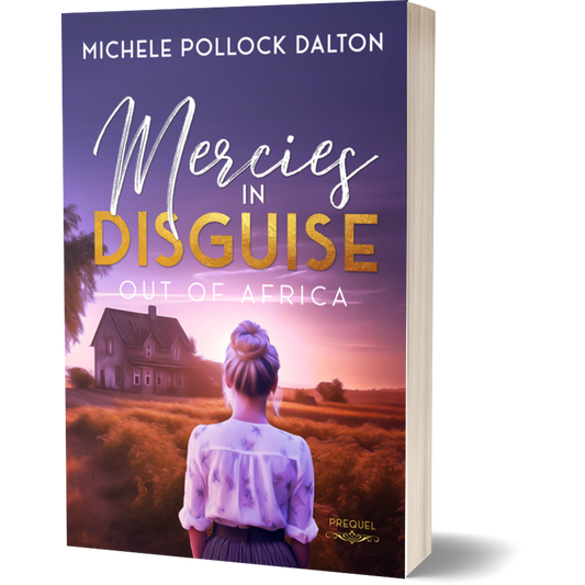 Mercies in Disguise (Paperback)
